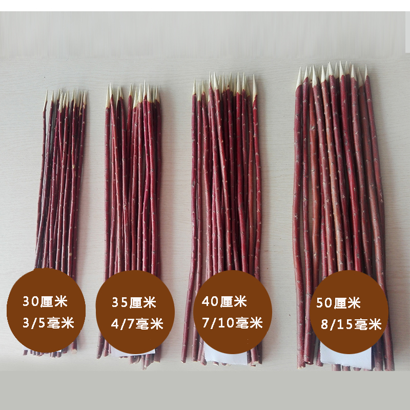 紅柳圖片/紅柳樣板圖 (1)