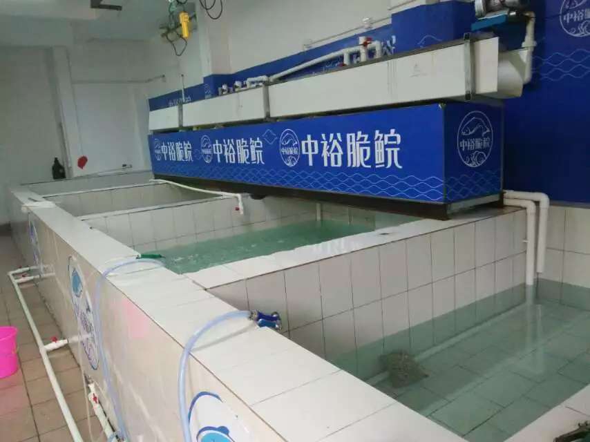 脆魚圖片/脆魚樣板圖 (2)