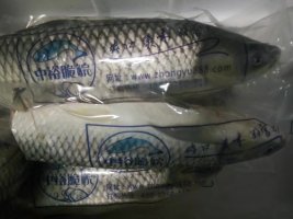脆魚圖片/脆魚樣板圖 (3)