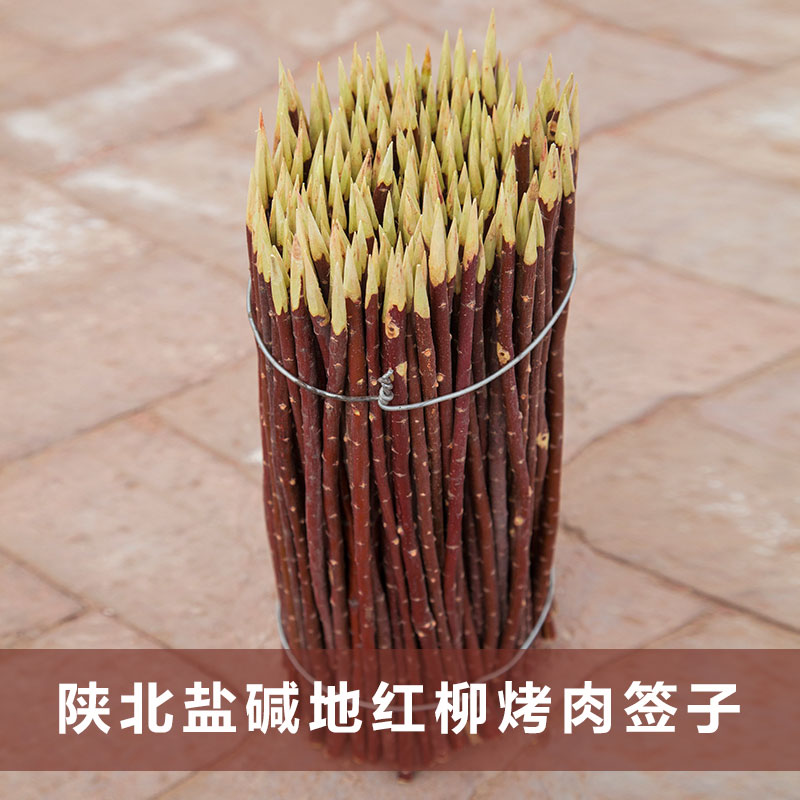 紅柳圖片/紅柳樣板圖 (4)