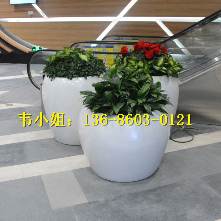 玻璃纖維花盆圖片/玻璃纖維花盆樣板圖 (2)