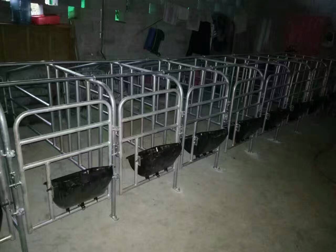 母豬定位欄廠家圖片