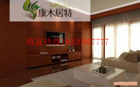 竹木纖維集成墻壁全國招商加盟中