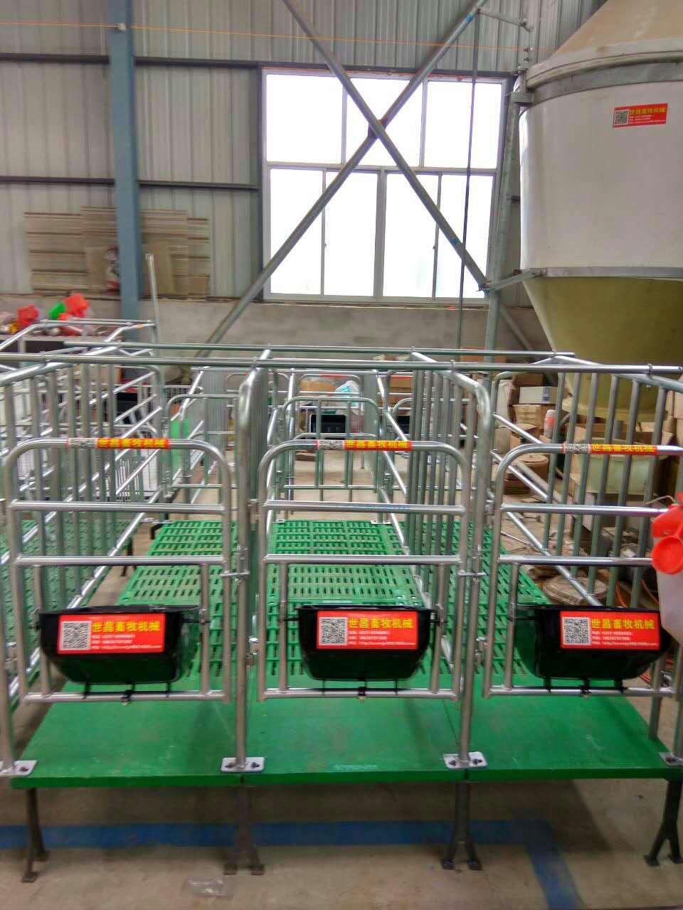 河北母豬定位欄圖片