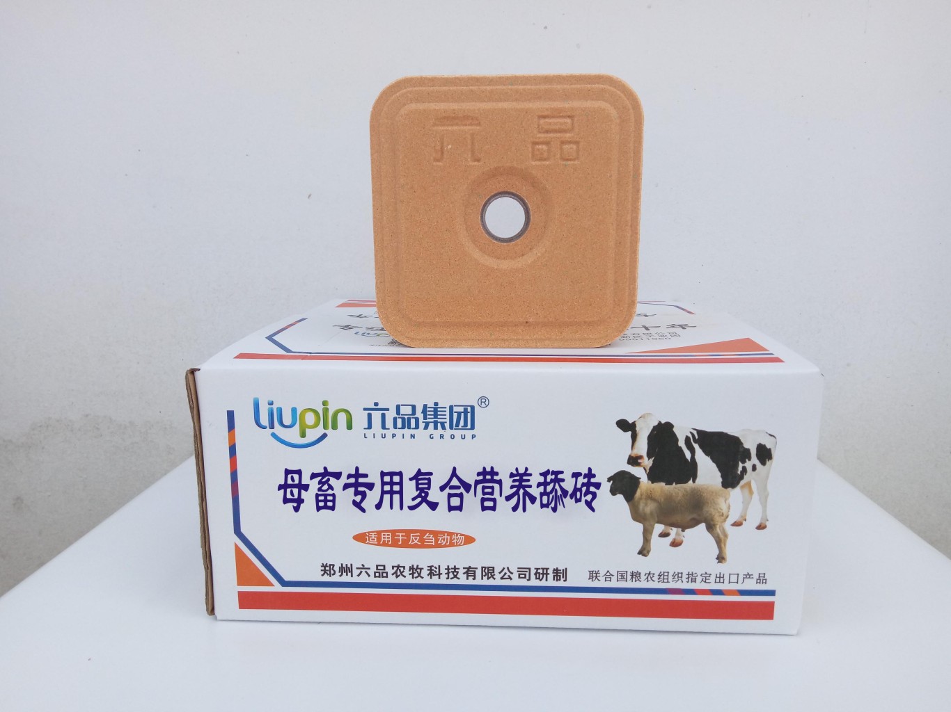 舔磚圖片/舔磚樣板圖 (1)