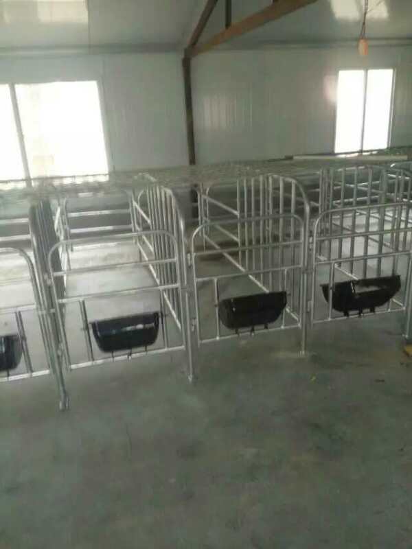 母豬定位欄 母豬定位欄廠家 母豬定位欄價格 母豬定位欄銷售