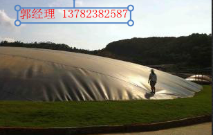 養(yǎng)豬場圖片/養(yǎng)豬場樣板圖 (3)