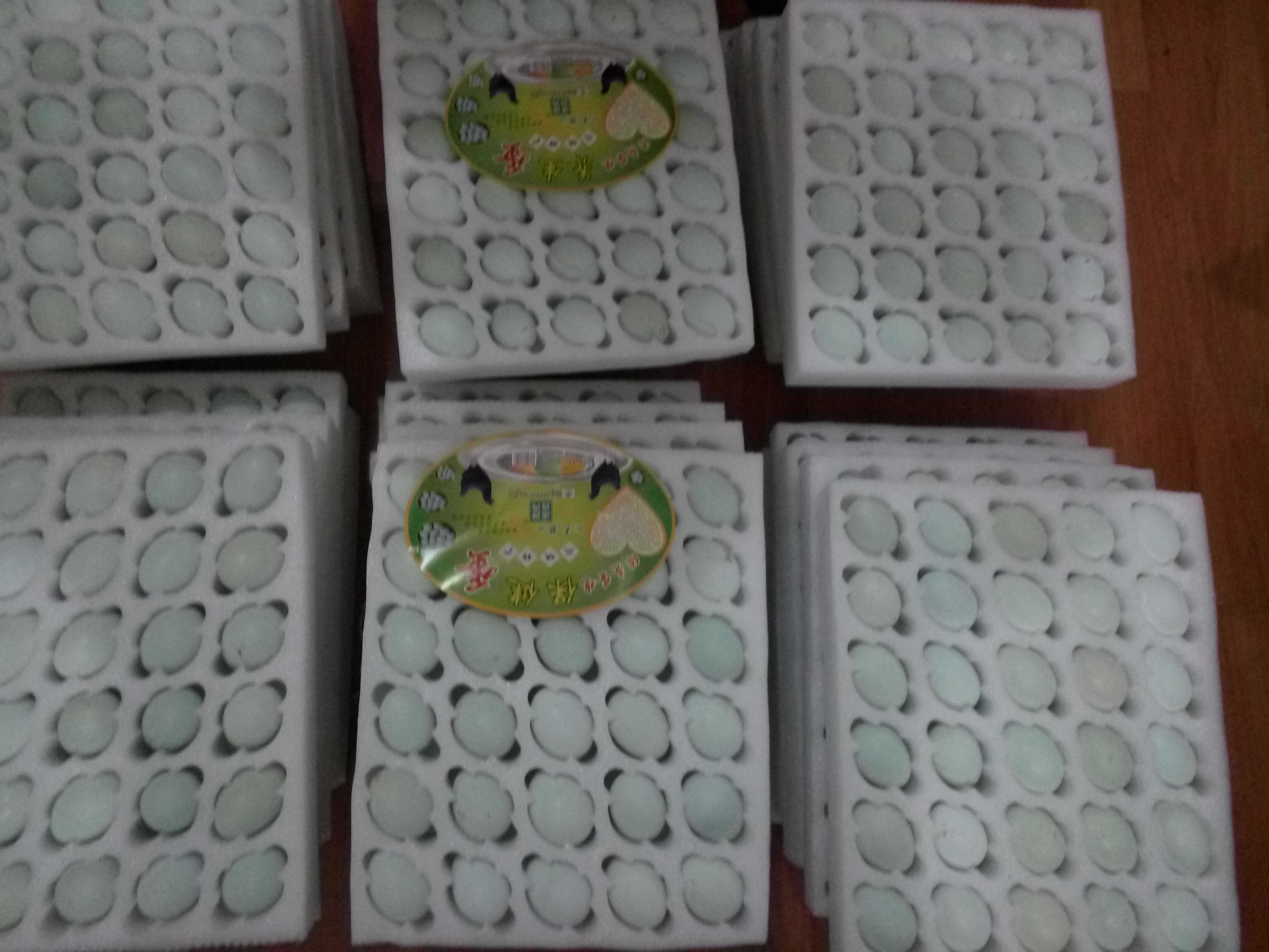 供應綠殼蛋雞種蛋、受精蛋