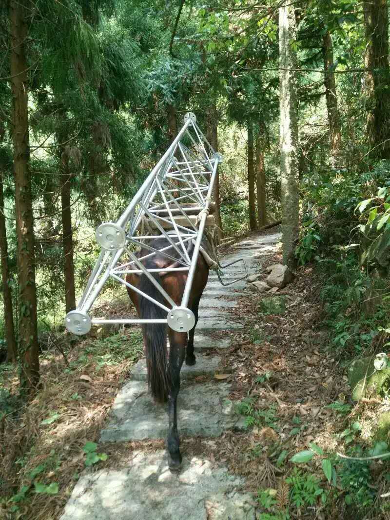 馬隊搬運隊圖片/馬隊搬運隊樣板圖 (1)