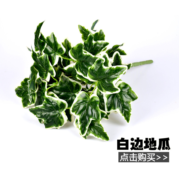 植物墻圖片/植物墻樣板圖 (4)