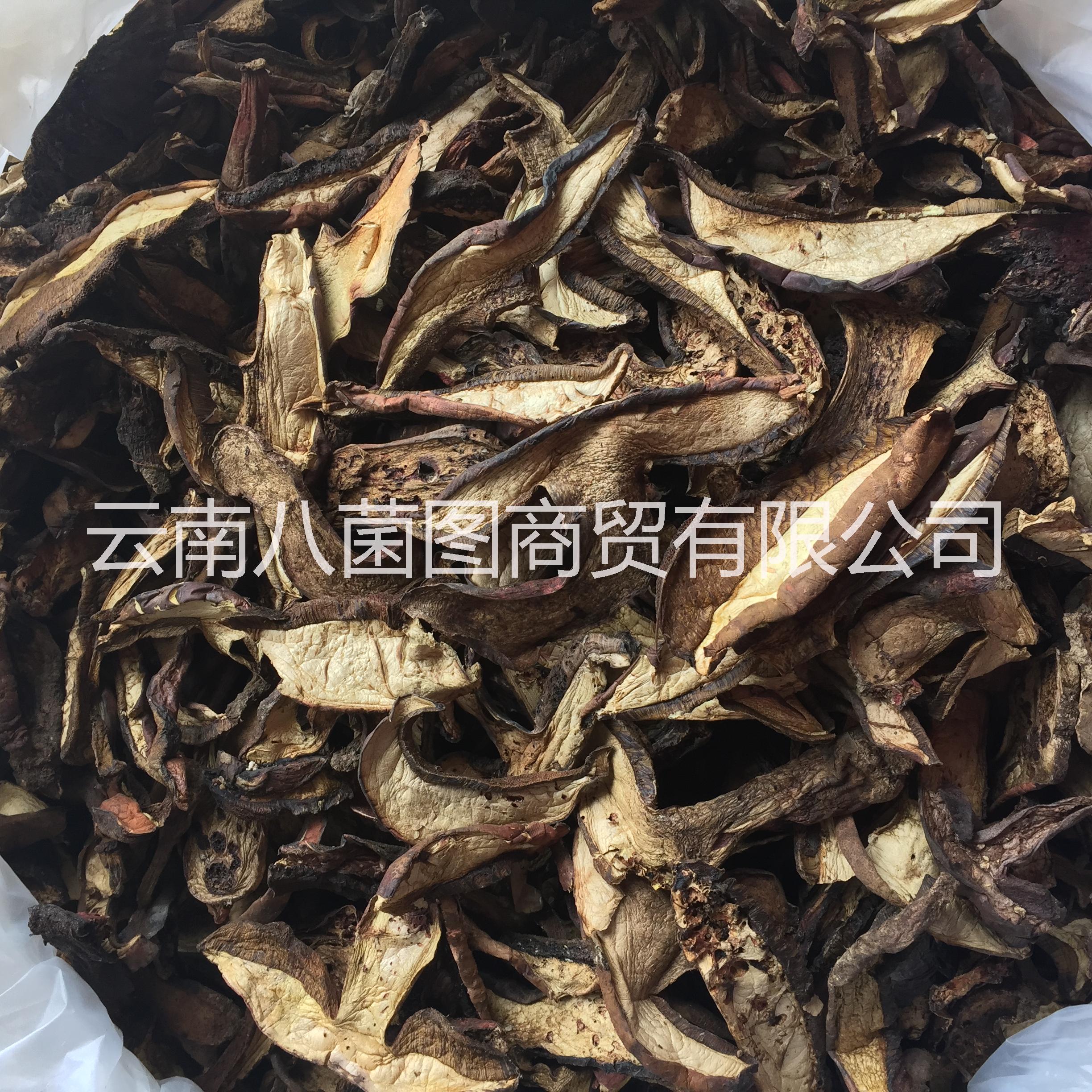 云南黑木王菌 黑木王菌批發(fā) 黑木王菌供應商 黑木王菌哪里好