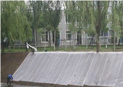 農(nóng)用無(wú)紡布圖片/農(nóng)用無(wú)紡布樣板圖 (4)