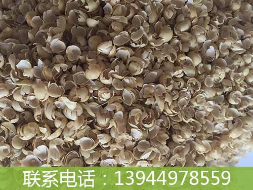 國產豆皮圖片/國產豆皮樣板圖 (3)