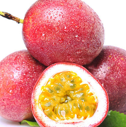 百香果圖片/百香果樣板圖 (3)