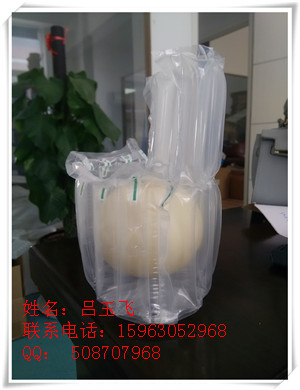 甜瓜圖片/甜瓜樣板圖 (1)