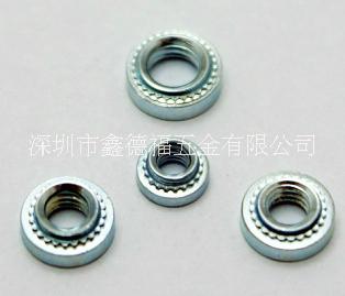 螺母圖片/螺母樣板圖 (2)