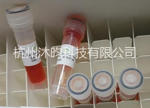 滅菌生物指示劑圖片/滅菌生物指示劑樣板圖 (3)