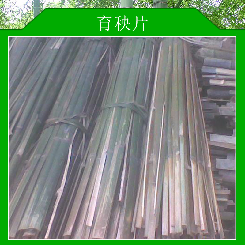 育秧片圖片/育秧片樣板圖 (3)