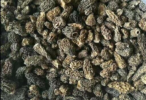 羊肚圖片/羊肚樣板圖 (4)