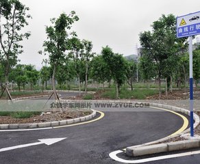 學(xué)車駕校圖片/學(xué)車駕校樣板圖 (3)