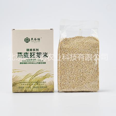 燕麥胚芽米 廠家原始種植純裸燕麥胚芽米一級(jí)