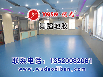 舞蹈室地膠 舞蹈塑膠地板圖片/舞蹈室地膠 舞蹈塑膠地板樣板圖 (3)