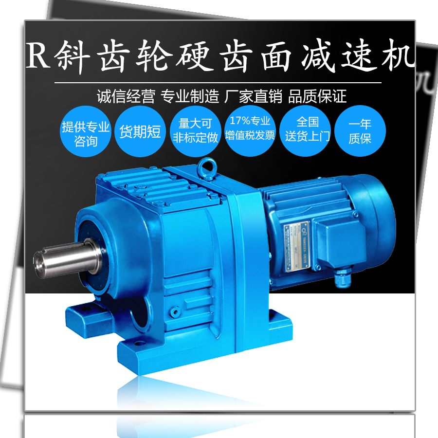 R系列同轴式斜齿轮减速机图片