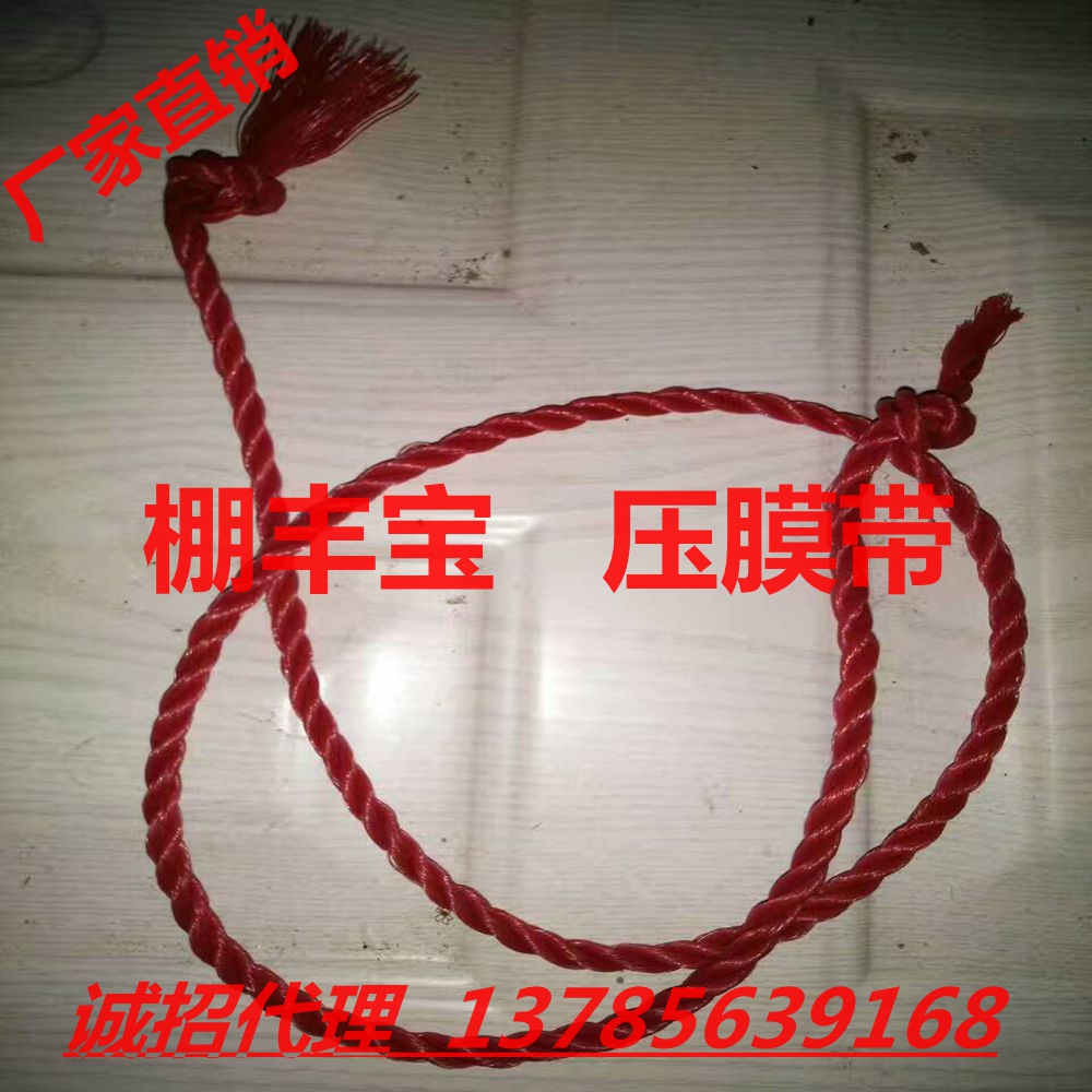 大棚壓膜帶 棚豐寶壓膜帶（繩）圖片/大棚壓膜帶 棚豐寶壓膜帶（繩）樣板圖 (2)