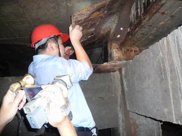 花都白蟻防治圖片/花都白蟻防治樣板圖 (1)