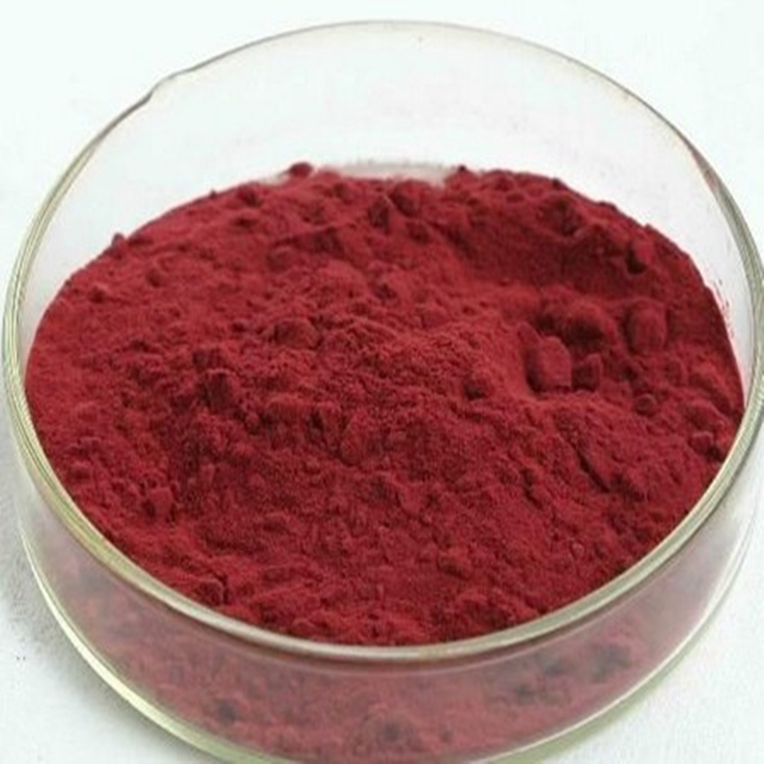 蔓越莓圖片/蔓越莓樣板圖 (1)