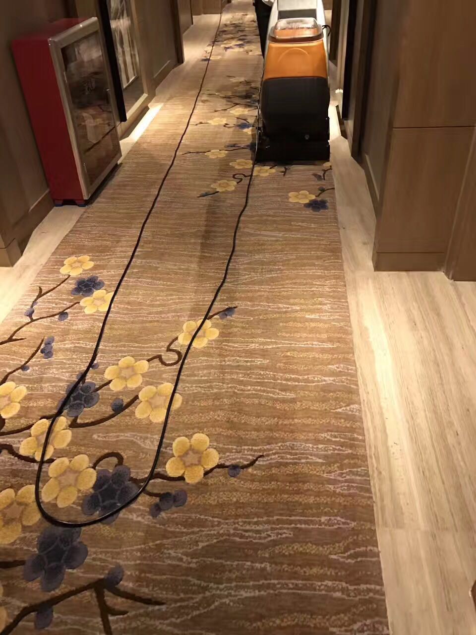 廣州地毯清洗圖片/廣州地毯清洗樣板圖 (3)