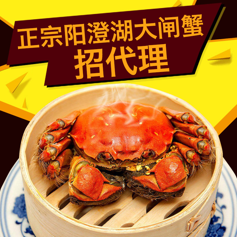 陽(yáng)澄湖大閘蟹圖片