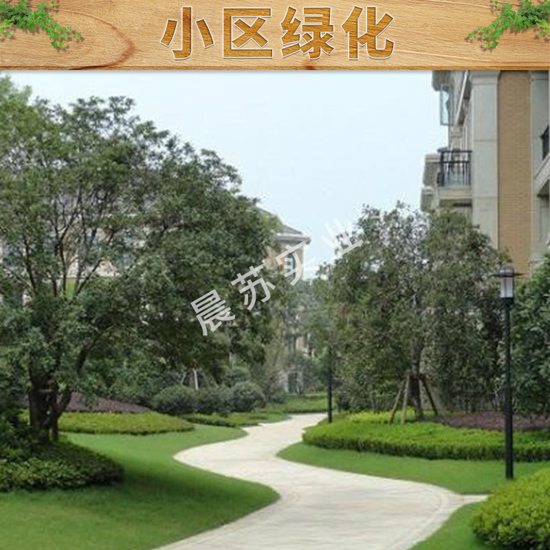 重慶綠化養(yǎng)護(hù)圖片/重慶綠化養(yǎng)護(hù)樣板圖 (2)