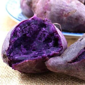 金麟食品 紫薯粉 紫薯飲料