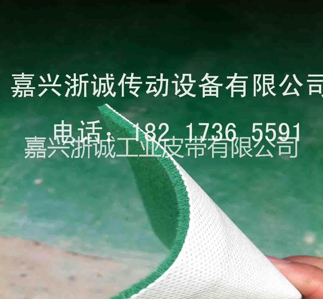 綠絨帶圖片/綠絨帶樣板圖 (2)