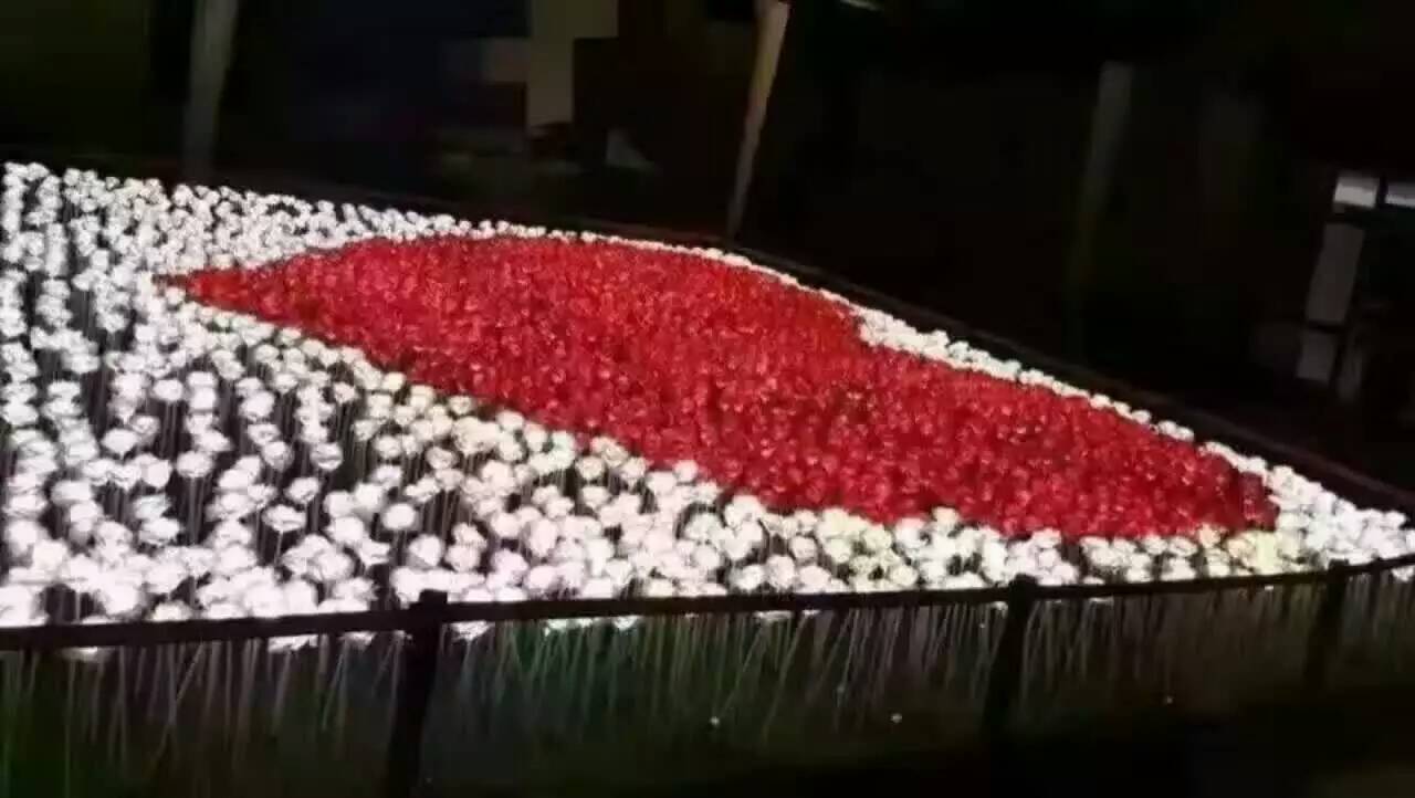 大型LED玫瑰花海燈光節(jié)出售租賃圖片