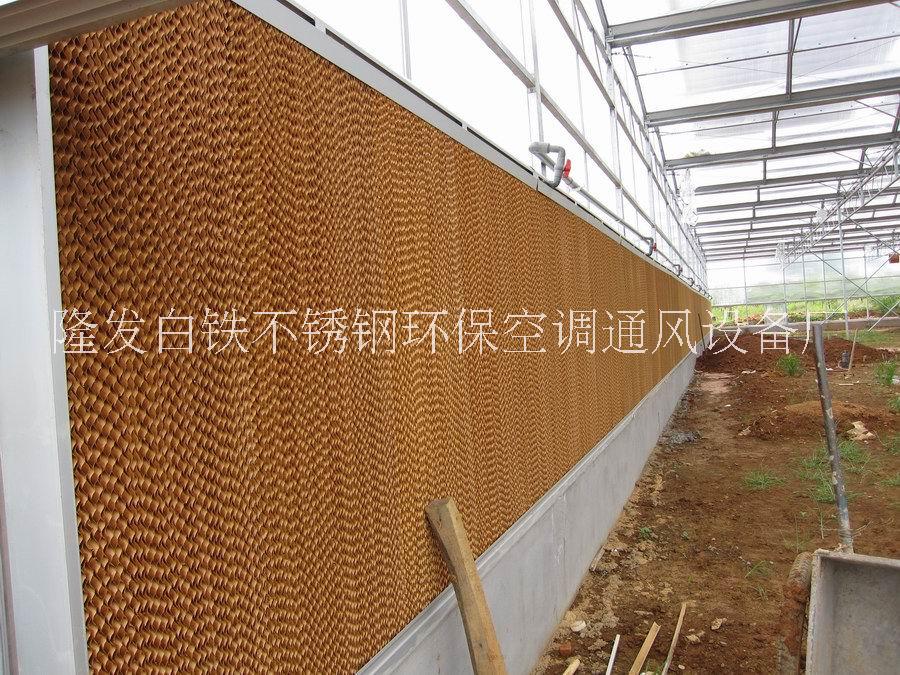 降溫水簾圖片/降溫水簾樣板圖 (2)