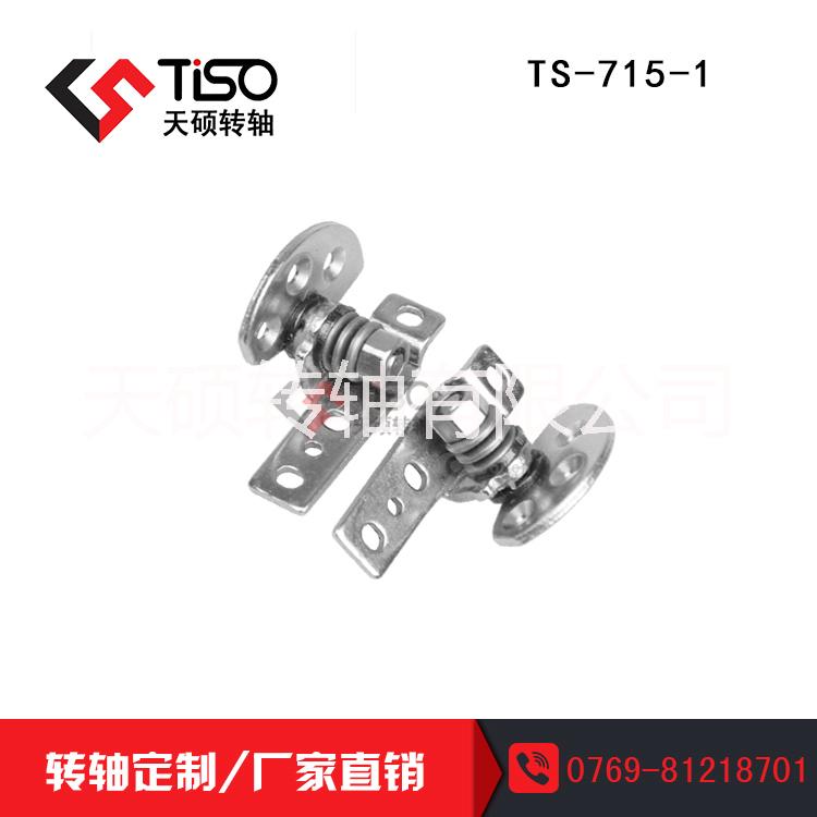 平板支架轉(zhuǎn)軸定制公司|TS-715-1 江蘇筆記本轉(zhuǎn)軸鉸鏈