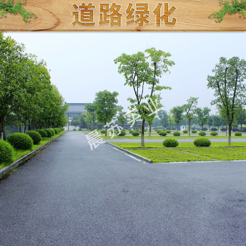 长宁区市政道路绿化施工电话长宁区市政道路绿化施工电话，长宁区道路绿化工程施工电话，长宁区道路绿化方案