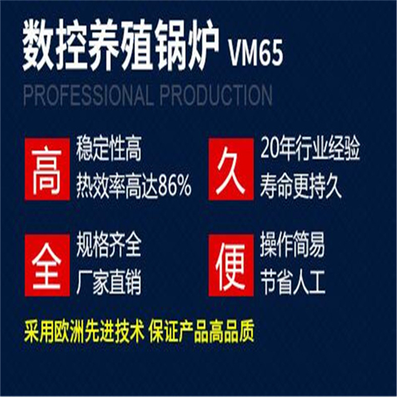 青岛沃利玛 VM85青岛智能锅炉青岛沃利玛 VM85青岛智能锅炉 不结焦 无烟无尘 节能环保