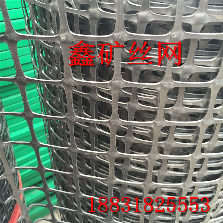 塑料格柵網(wǎng)、塑料養(yǎng)殖網(wǎng)圖片