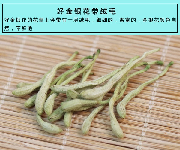 金銀花售價，金銀花作用圖片