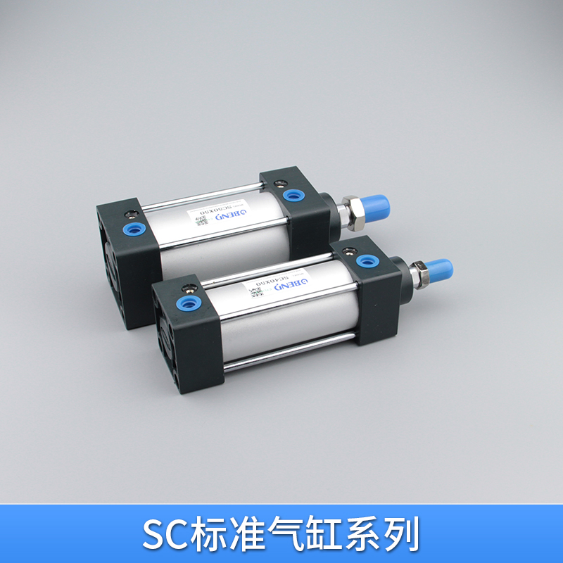 標(biāo)準(zhǔn)氣缸圖片/標(biāo)準(zhǔn)氣缸樣板圖 (2)