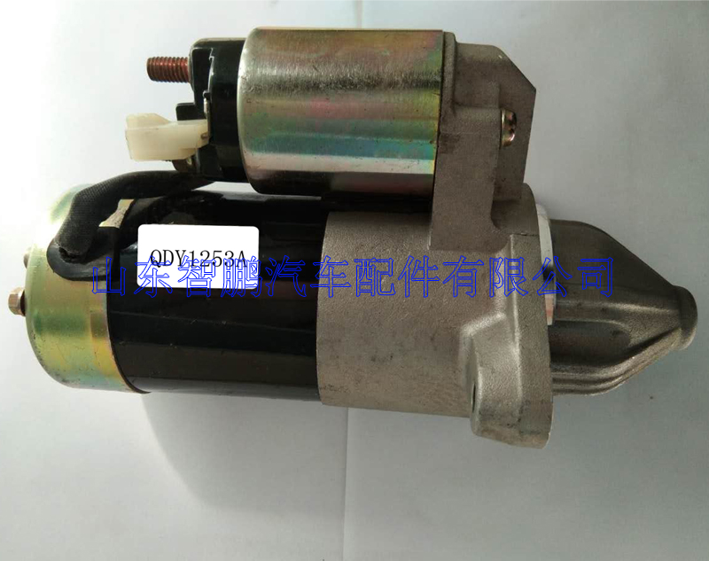 金杯海獅圖片/金杯海獅樣板圖 (3)