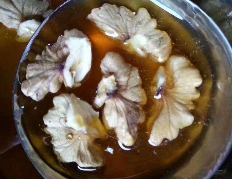 蜂蜜百花蜜圖片/蜂蜜百花蜜樣板圖 (4)