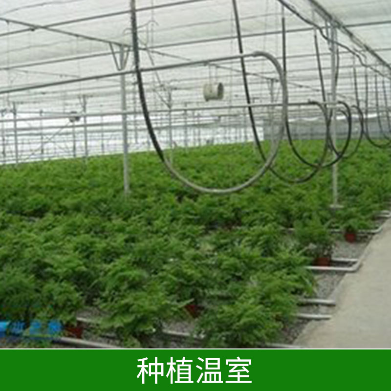 種植圖片/種植樣板圖 (3)