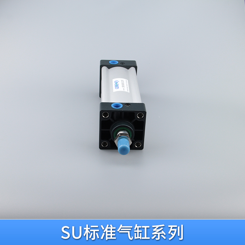 標準氣缸圖片/標準氣缸樣板圖 (3)