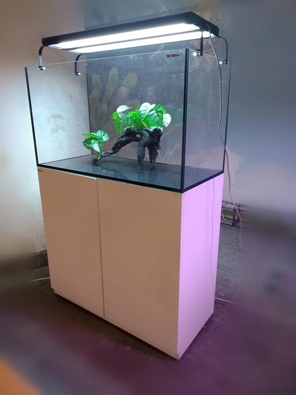 海水魚缸圖片/海水魚缸樣板圖 (3)
