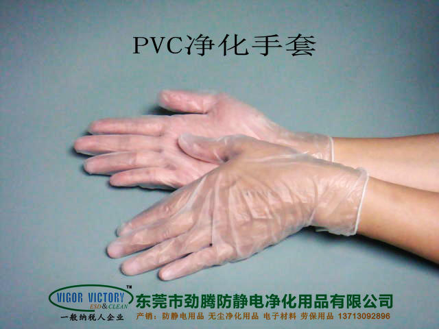 PVC手套圖片/PVC手套樣板圖 (1)
