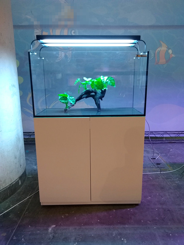 海水魚缸圖片/海水魚缸樣板圖 (2)
